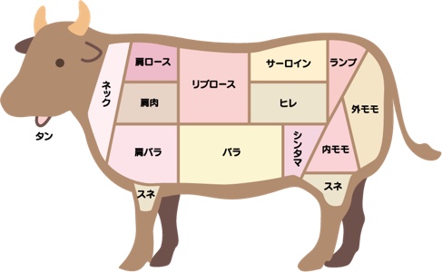 牛肉の部位の説明イラスト