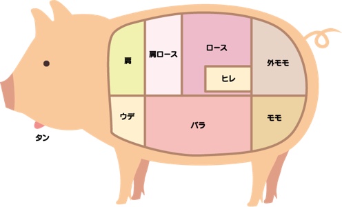 豚の部位