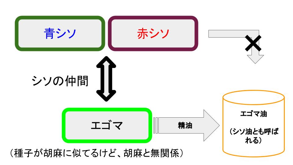 エゴマ油とシソ油の違い