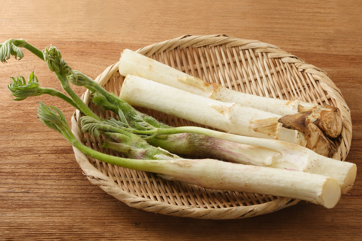 うどの特徴とおすすめレシピ、食品成分表