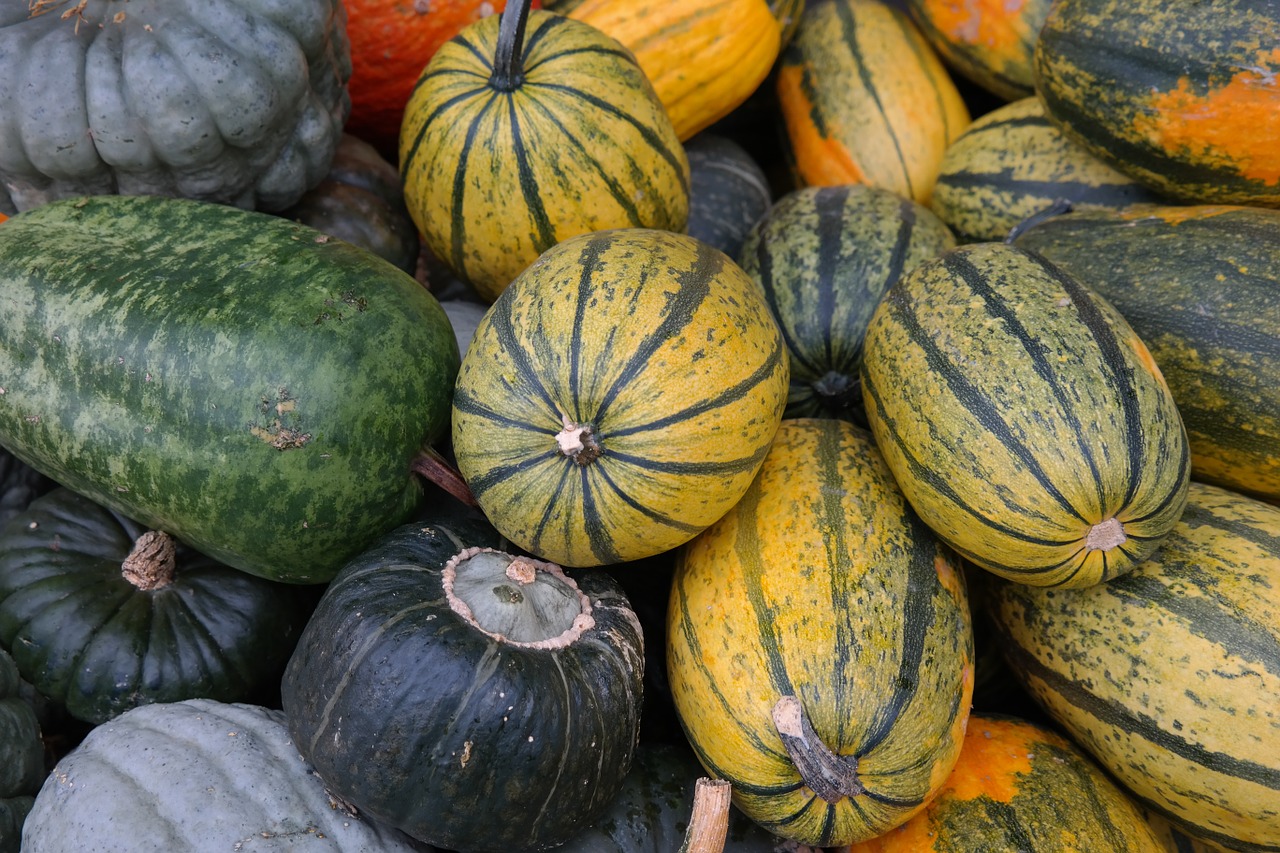 そうめんかぼちゃ（キンシウリ、金糸瓜）の特徴とおすすめレシピ、食品成分表