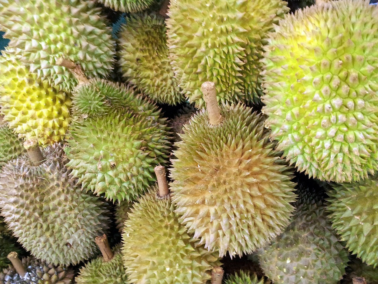 ドリアンの栄養とおすすめレシピ、食品成分表