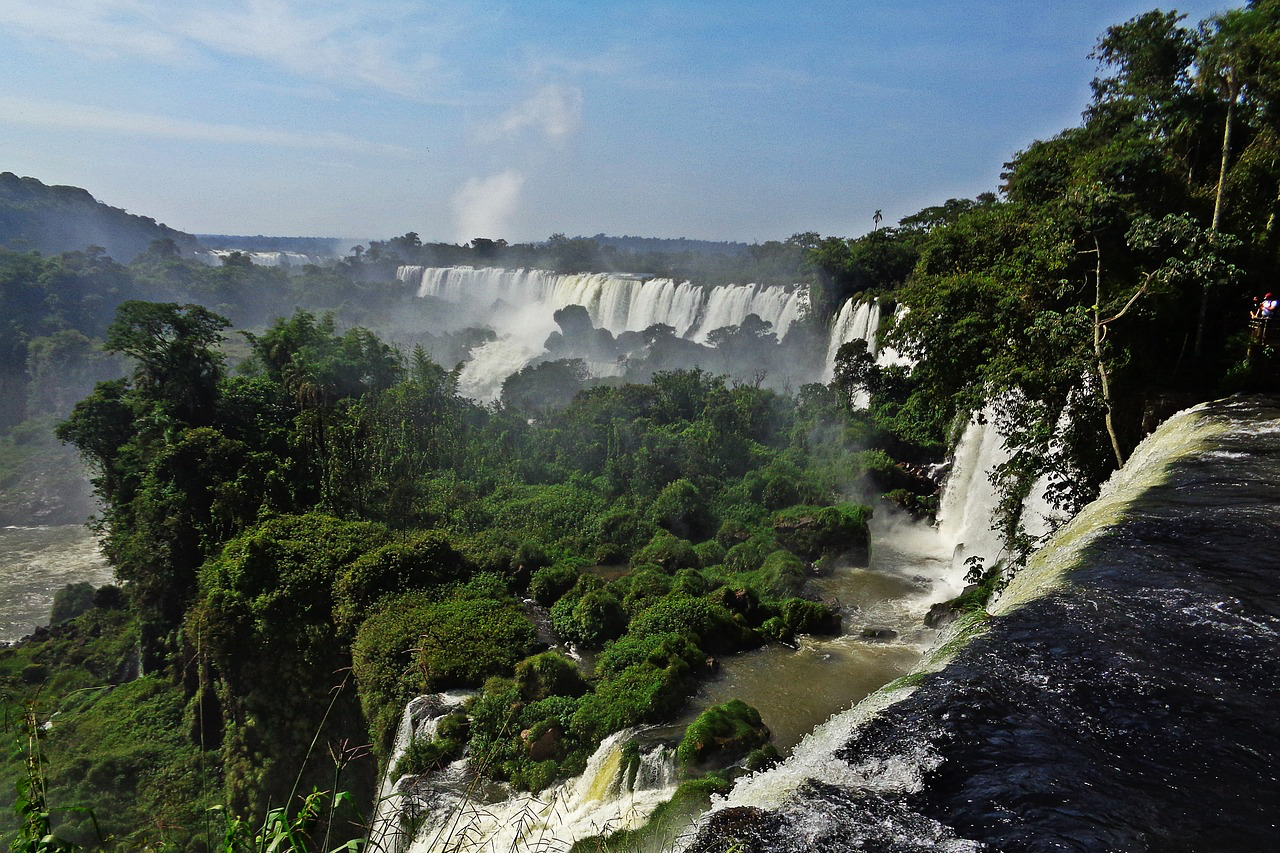 ブラジルの滝と木