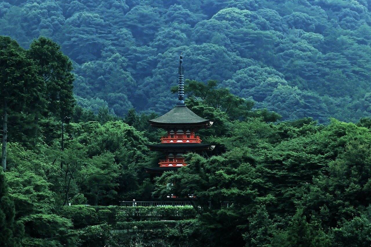 森の中のお寺